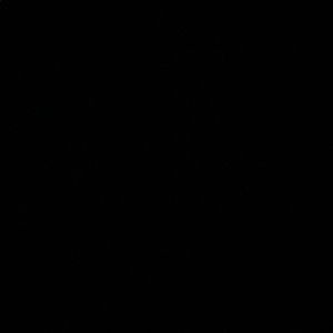 Meet your Posher, Dylan